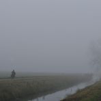 November - Nebel in den Rheinauen 06