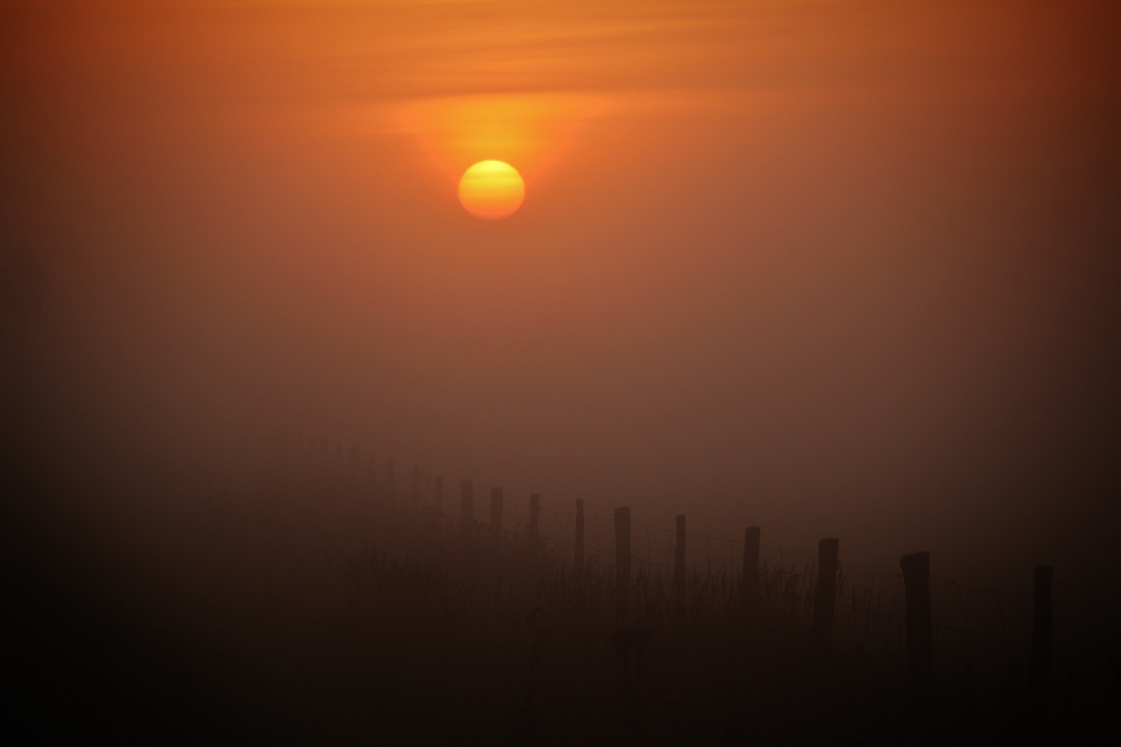 NOVEMBER NEBEL MORGEN