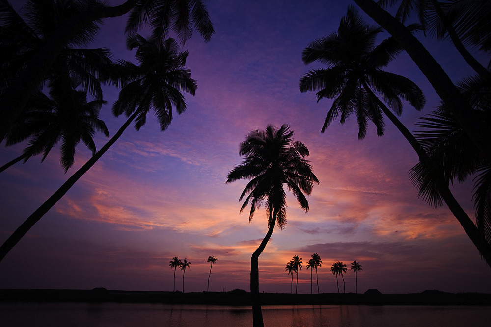 November Night in India