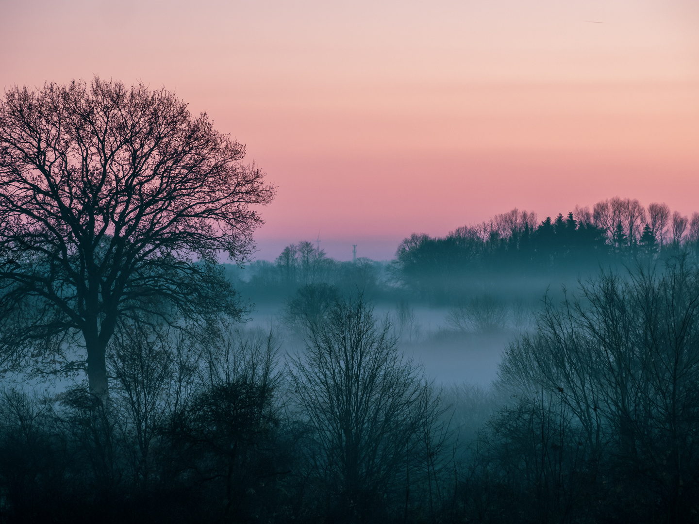 November ohne Blues...