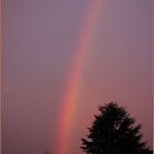 November Regenbogen