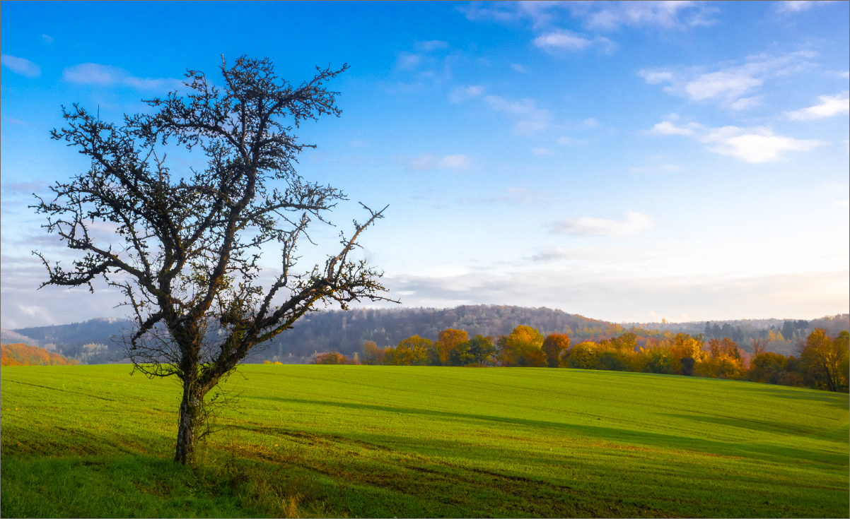 November-Samstag