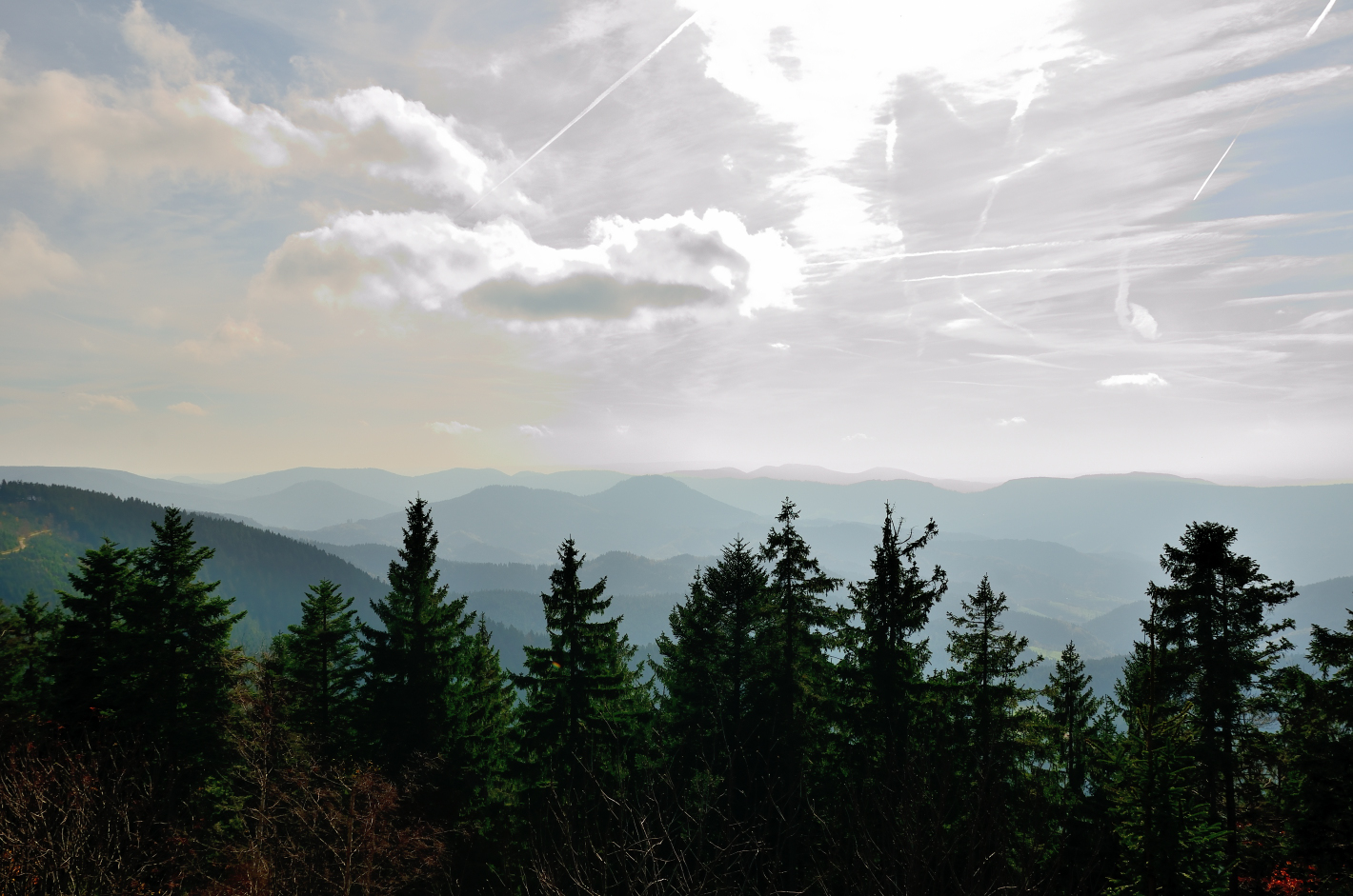 November Schwarzwald, Noviembre Selva Negra,  Schliffkopf