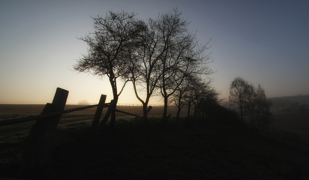 NOVEMBER-SONNE