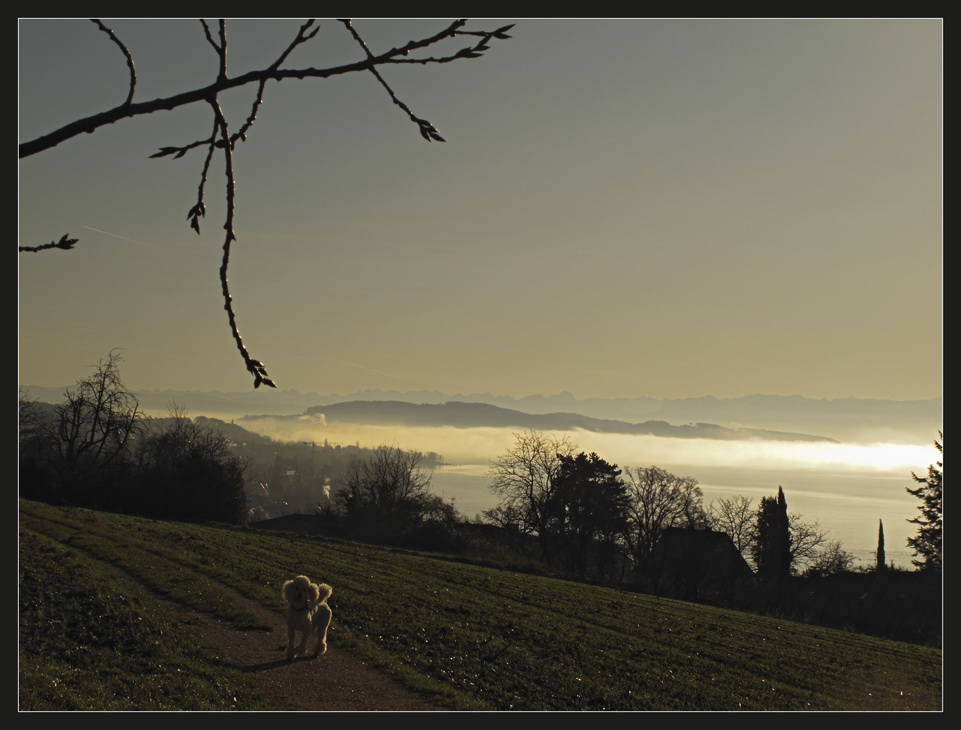 November-Sonnen-Nebel