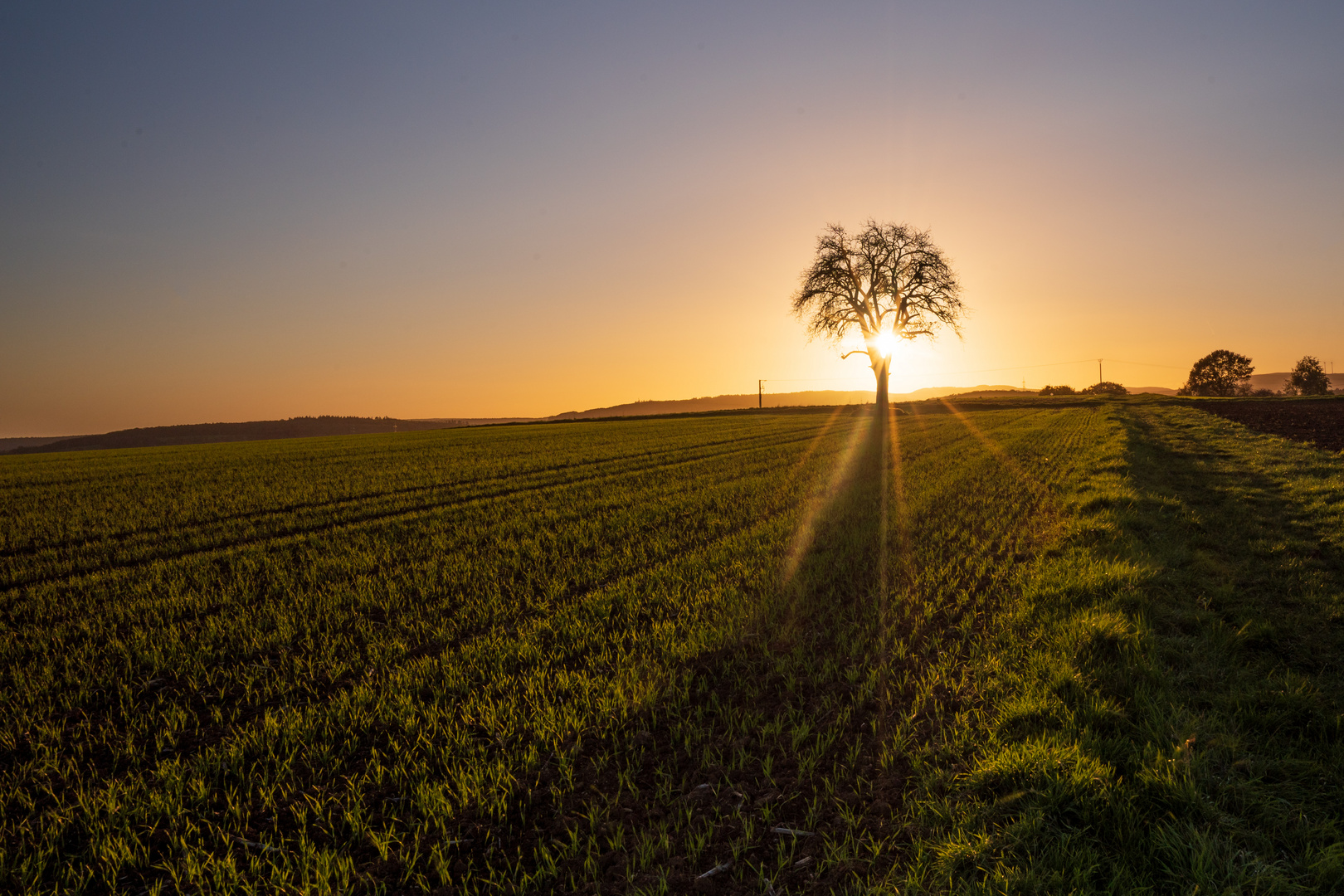 November Sonnenuntergang