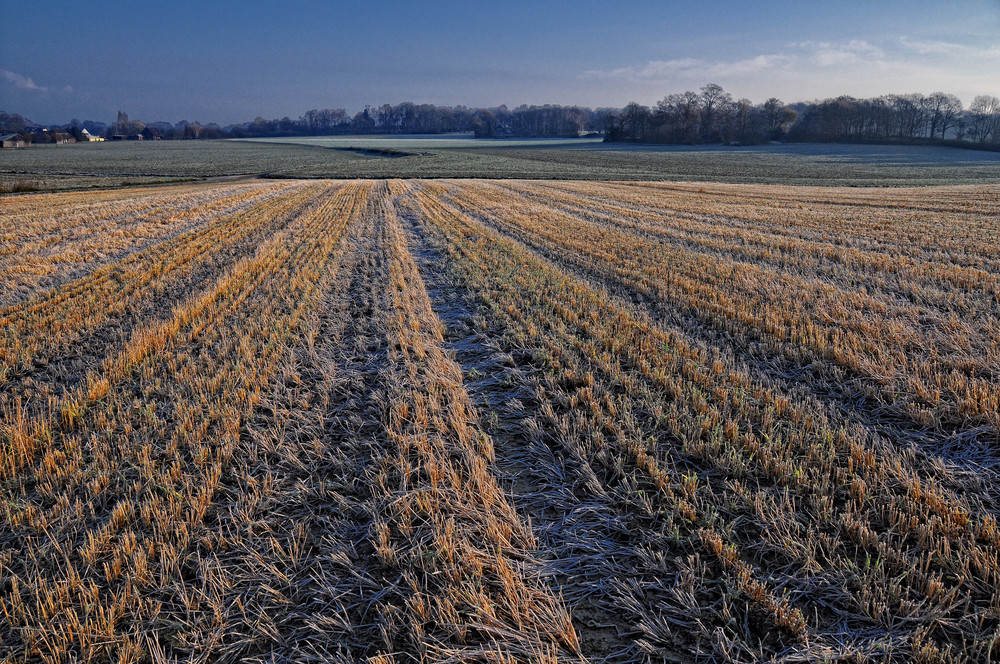 November-Sonntag