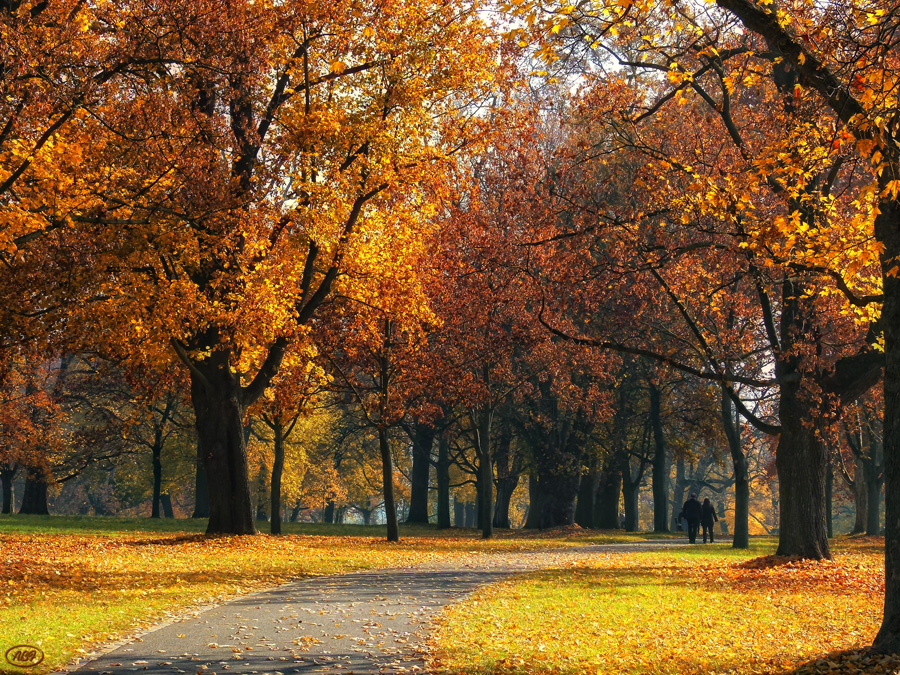 November-Spaziergang...