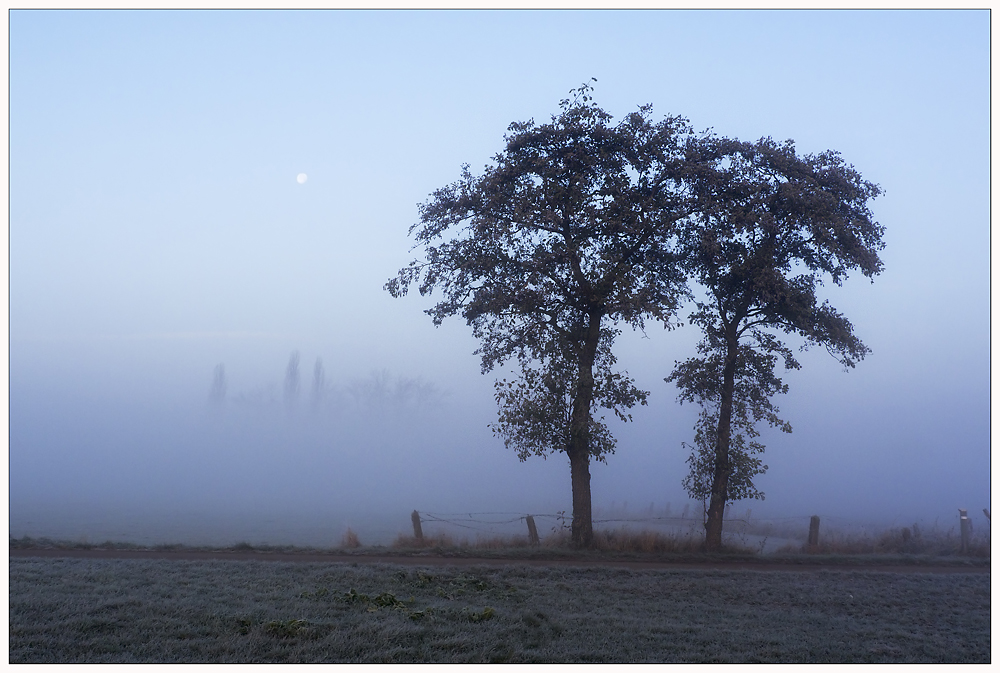 November-stimmung