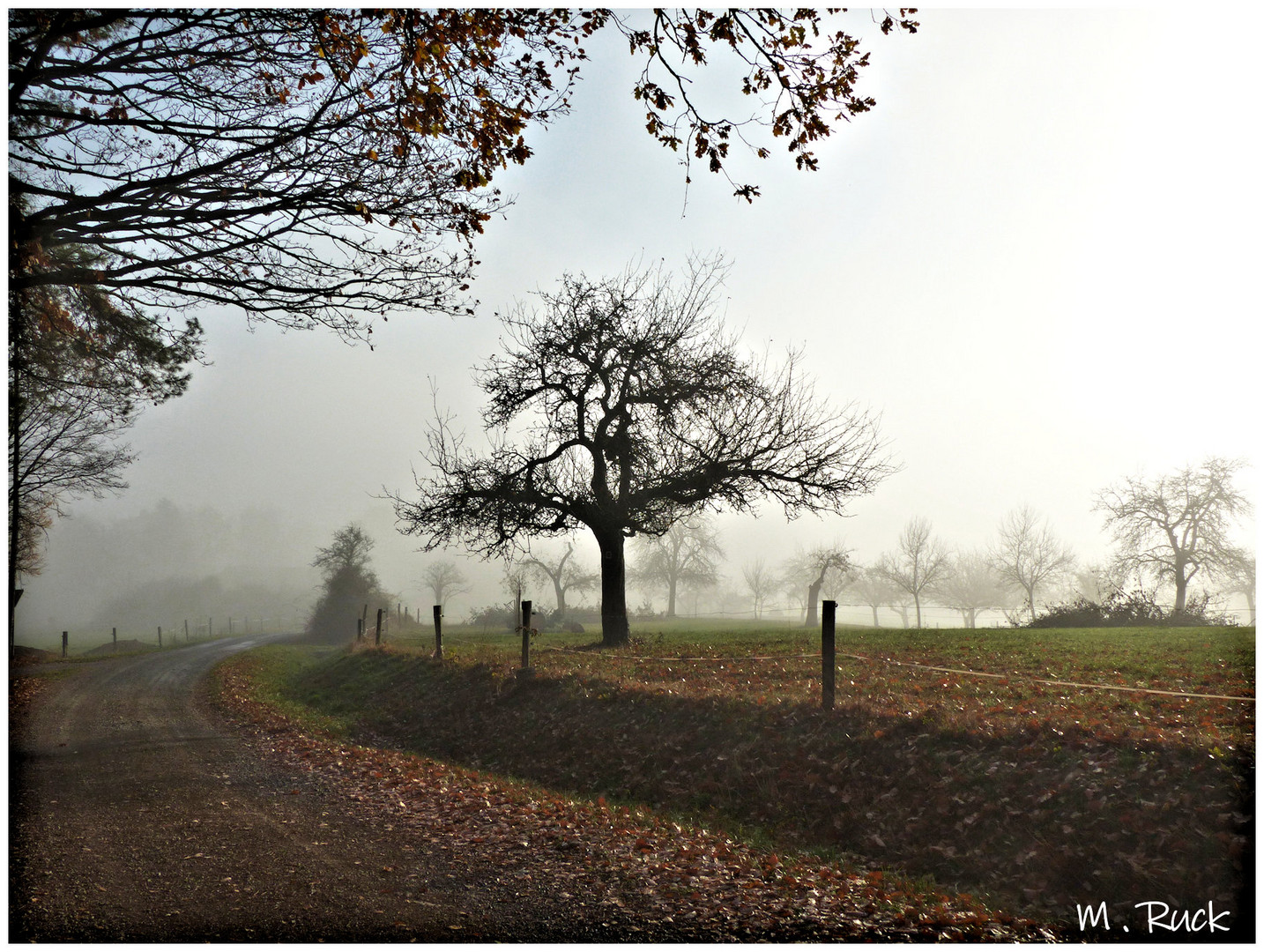 November Stimmung liegt über dem Land 