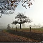 November Stimmung liegt über dem Land 