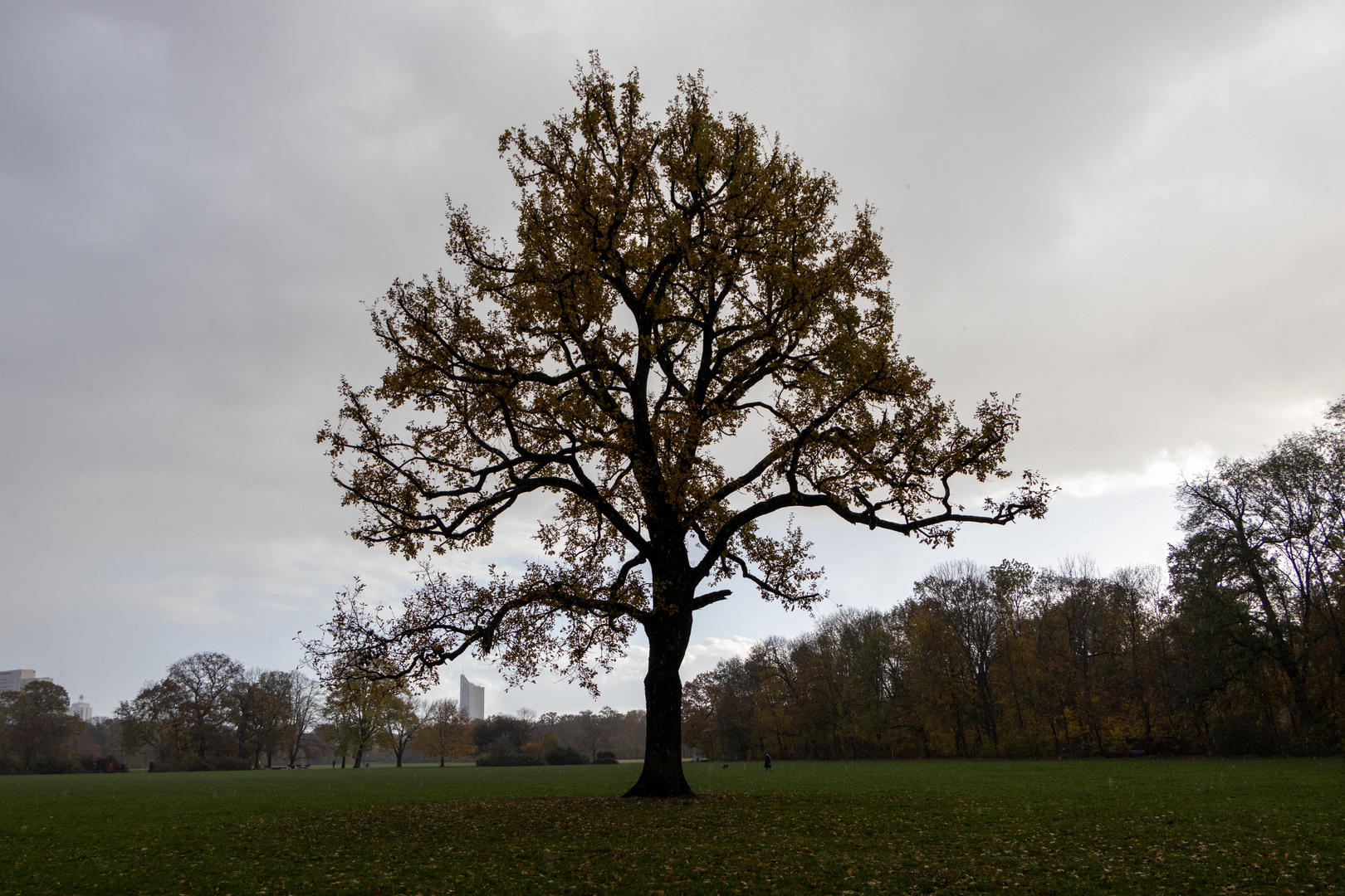 November-Tag in Leipzig