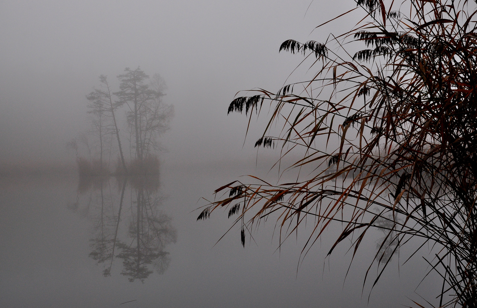 November-Tristesse am Völser Weiher