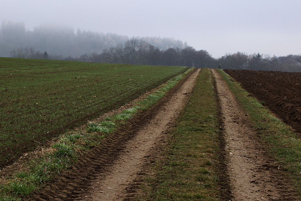 November-Tristesse......