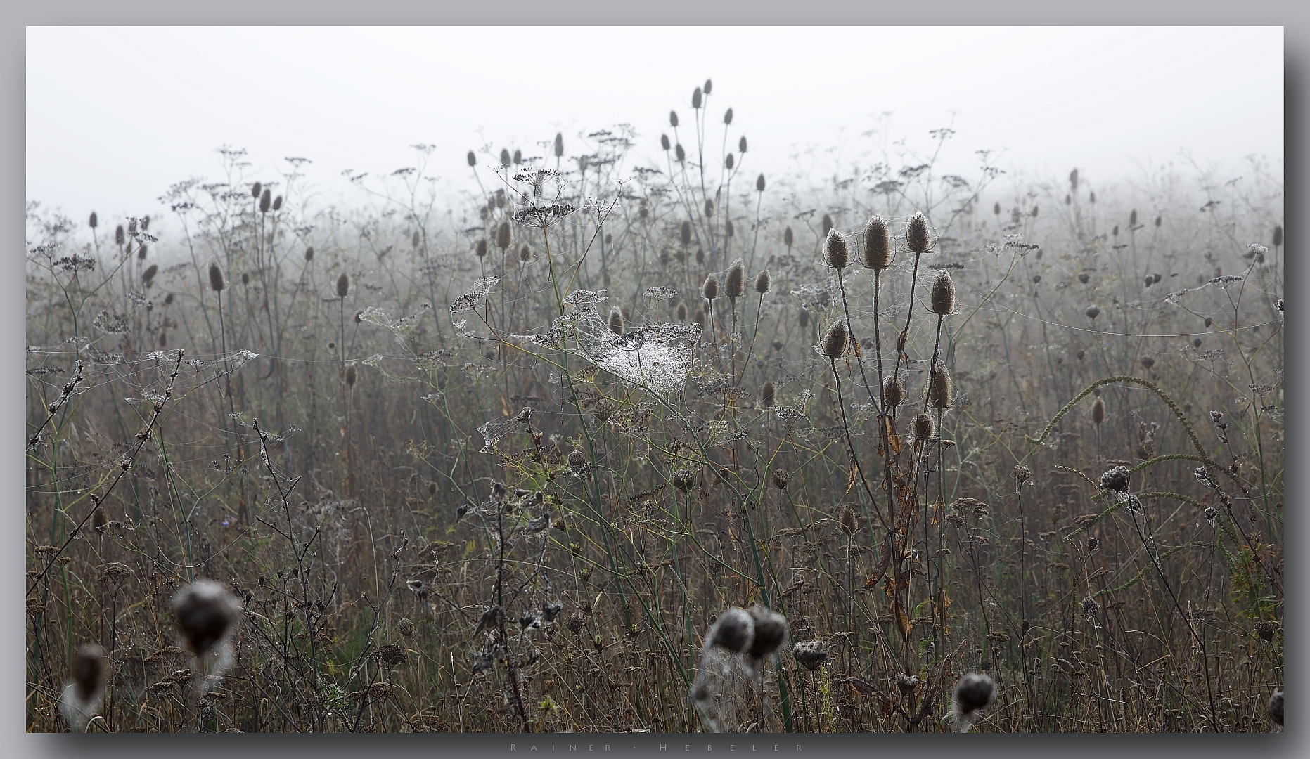 November-Tristesse