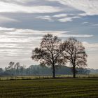 November-Tristesse