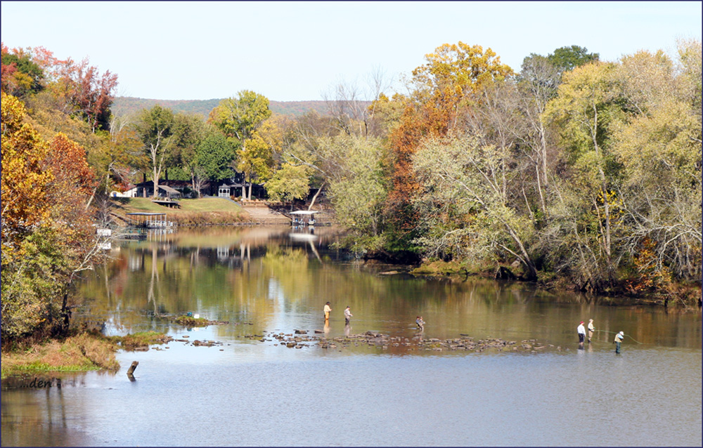 November Trout Fishing......