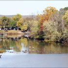 November Trout Fishing......