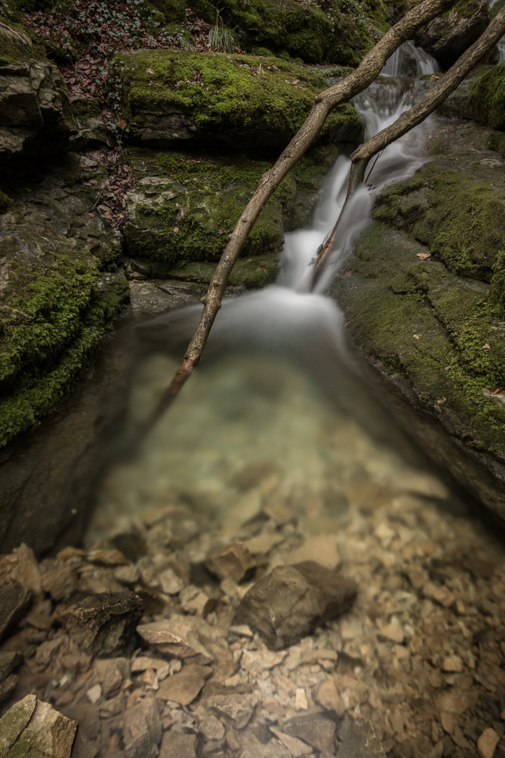 November unterhalb der Falkensteiner Höhle