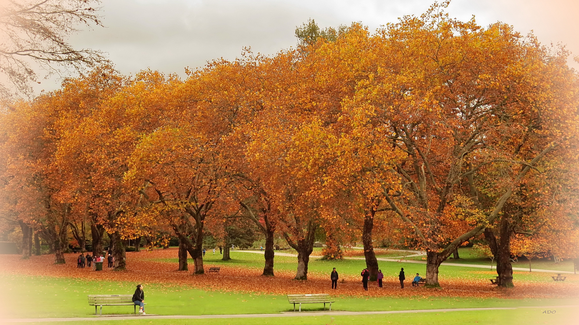 November Walk