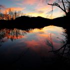 Novemberabend am alten Rhein