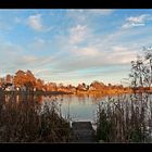 Novemberabend am Bordesholmer See