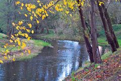 Novemberabend am Fluss, mit Enten