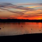 Novemberabend am Förmitzsee