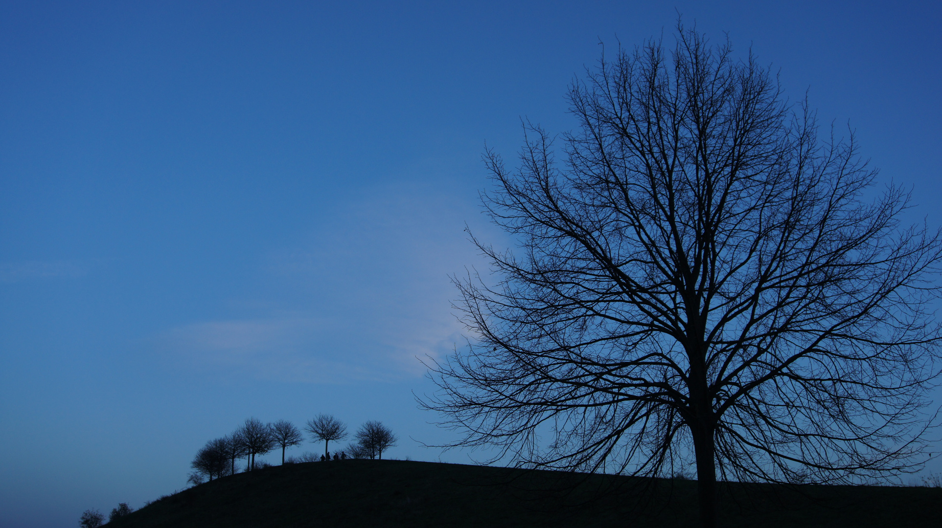 Novemberabend am Kronsberg