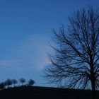 Novemberabend am Kronsberg