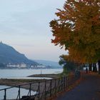 Novemberabend am Rhein 