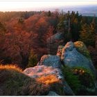 Novemberabend am Waldstein