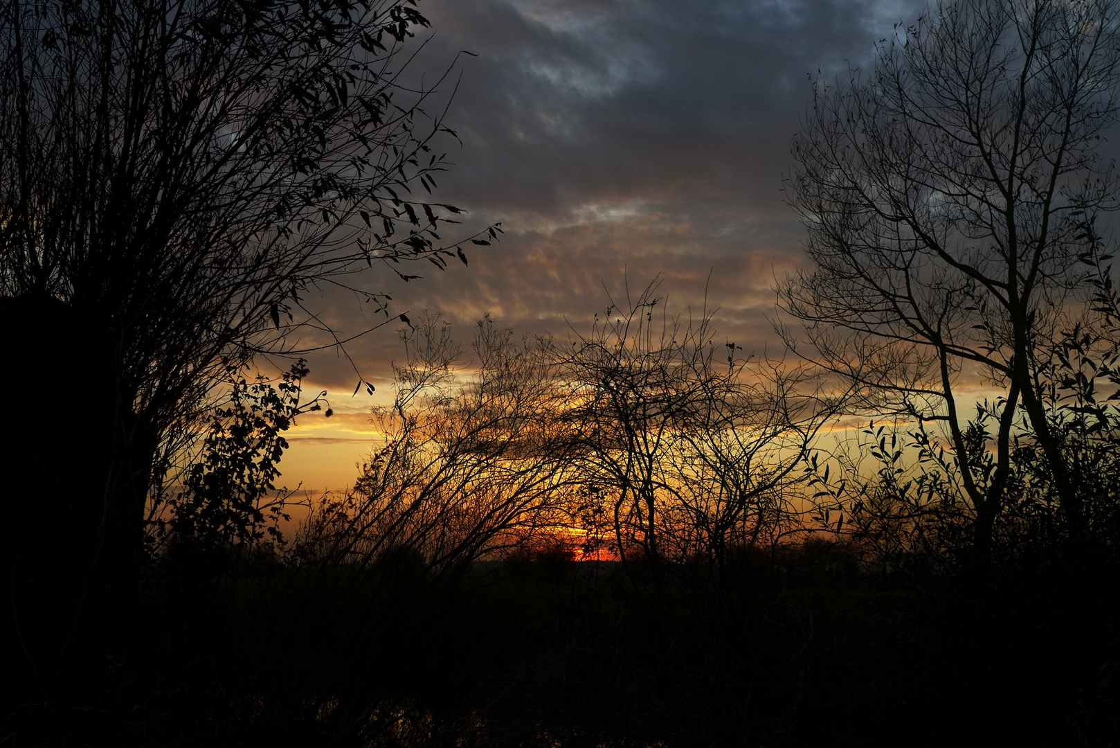 Novemberabend an der Leine