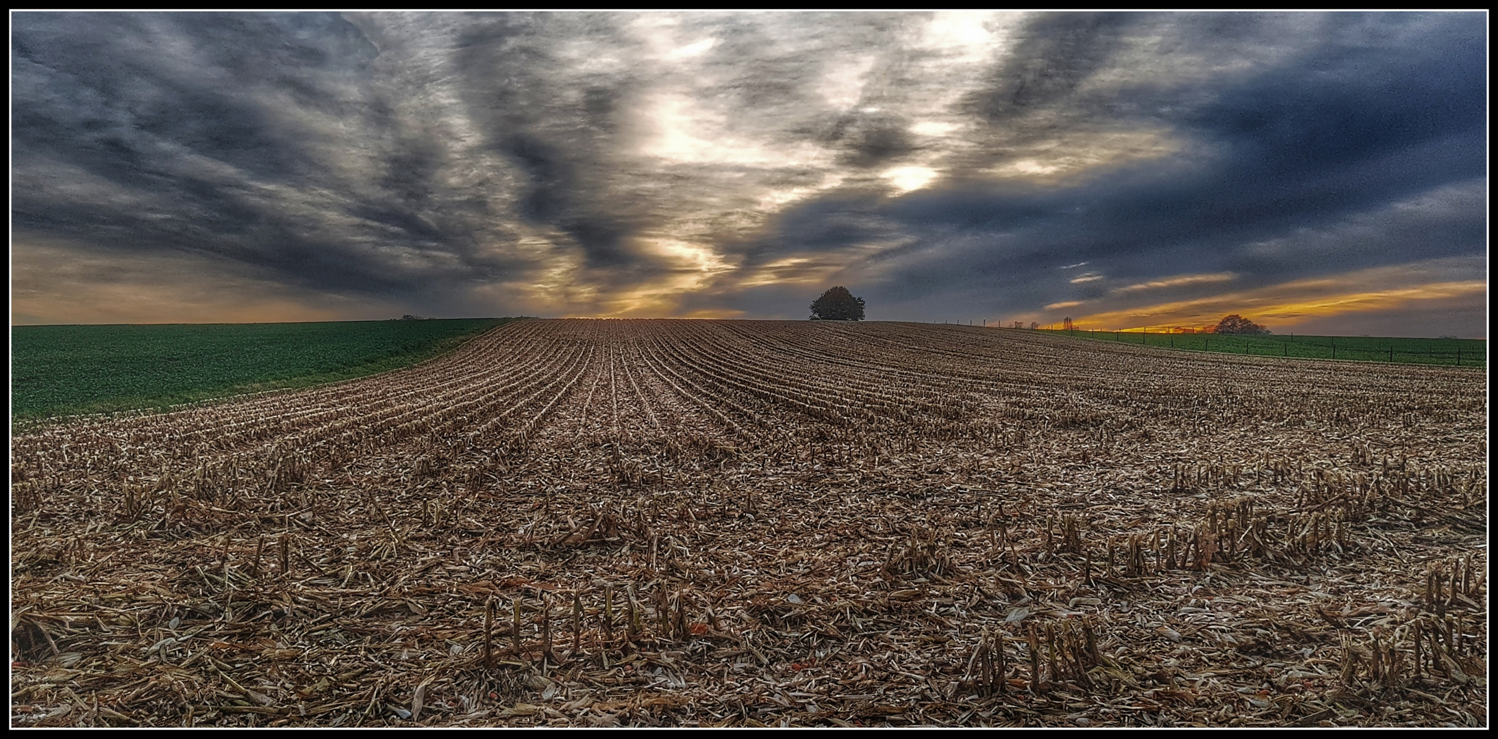 Novemberabend auf den Feldern