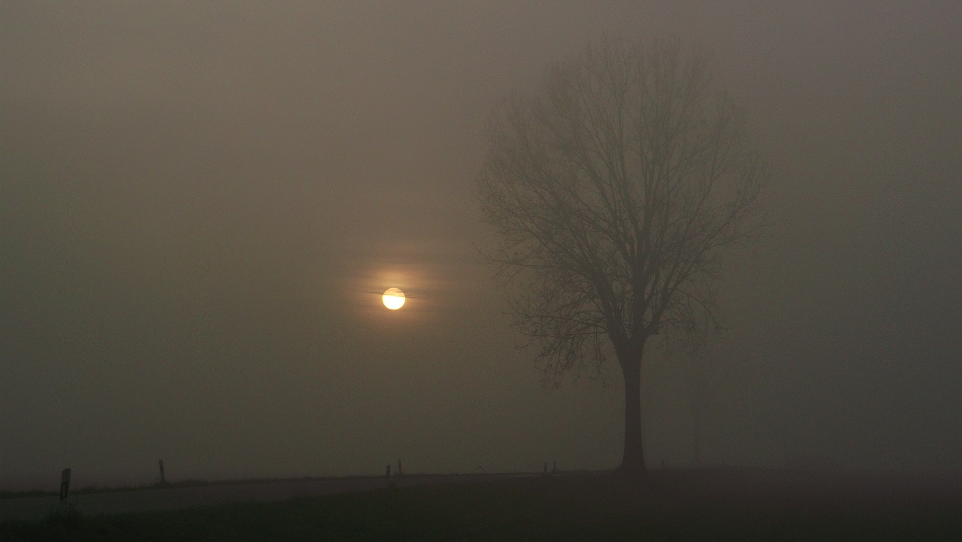 Novemberabend bei Mengkofen