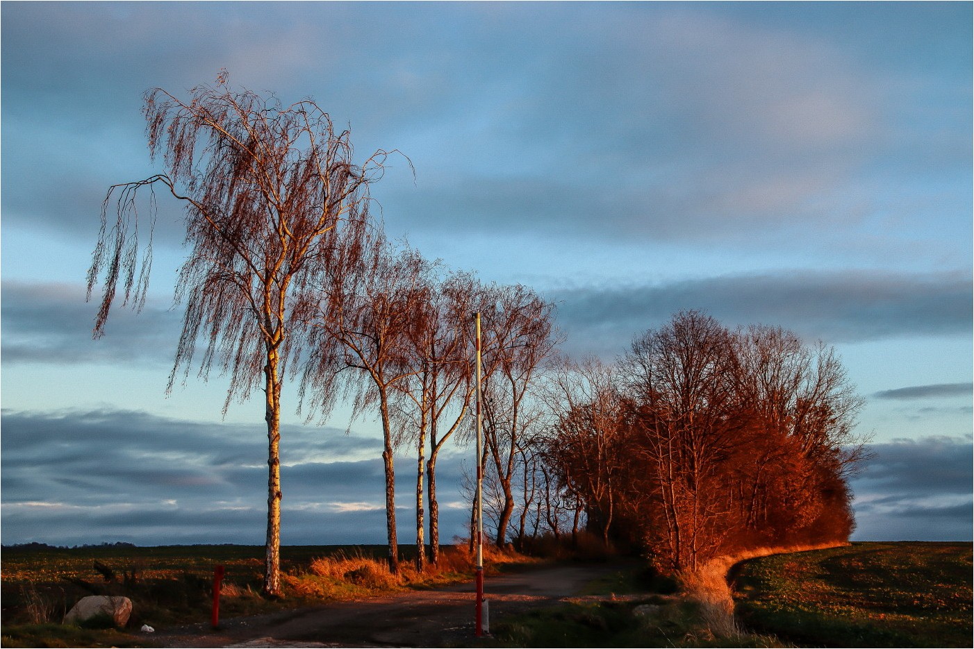 Novemberabendlicht