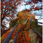 Novemberanfang am Waldstein