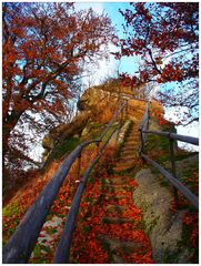 Novemberanfang am Waldstein