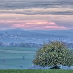 novemberapfel im blauen dunst