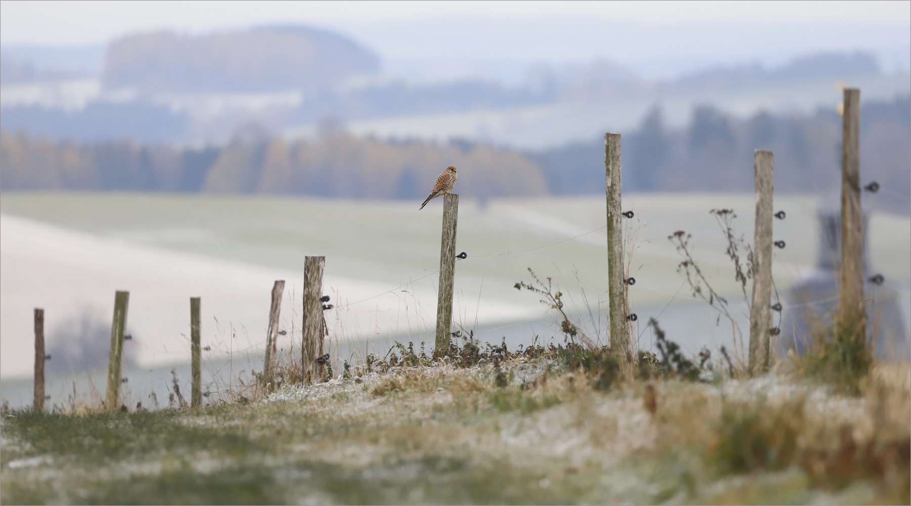 Novemberbeobachtung