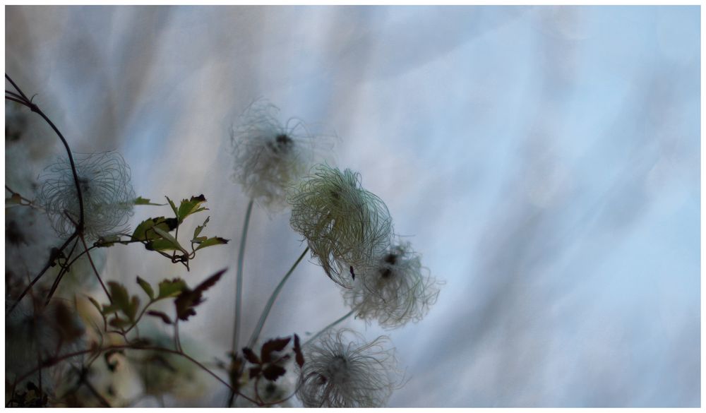 novemberblau