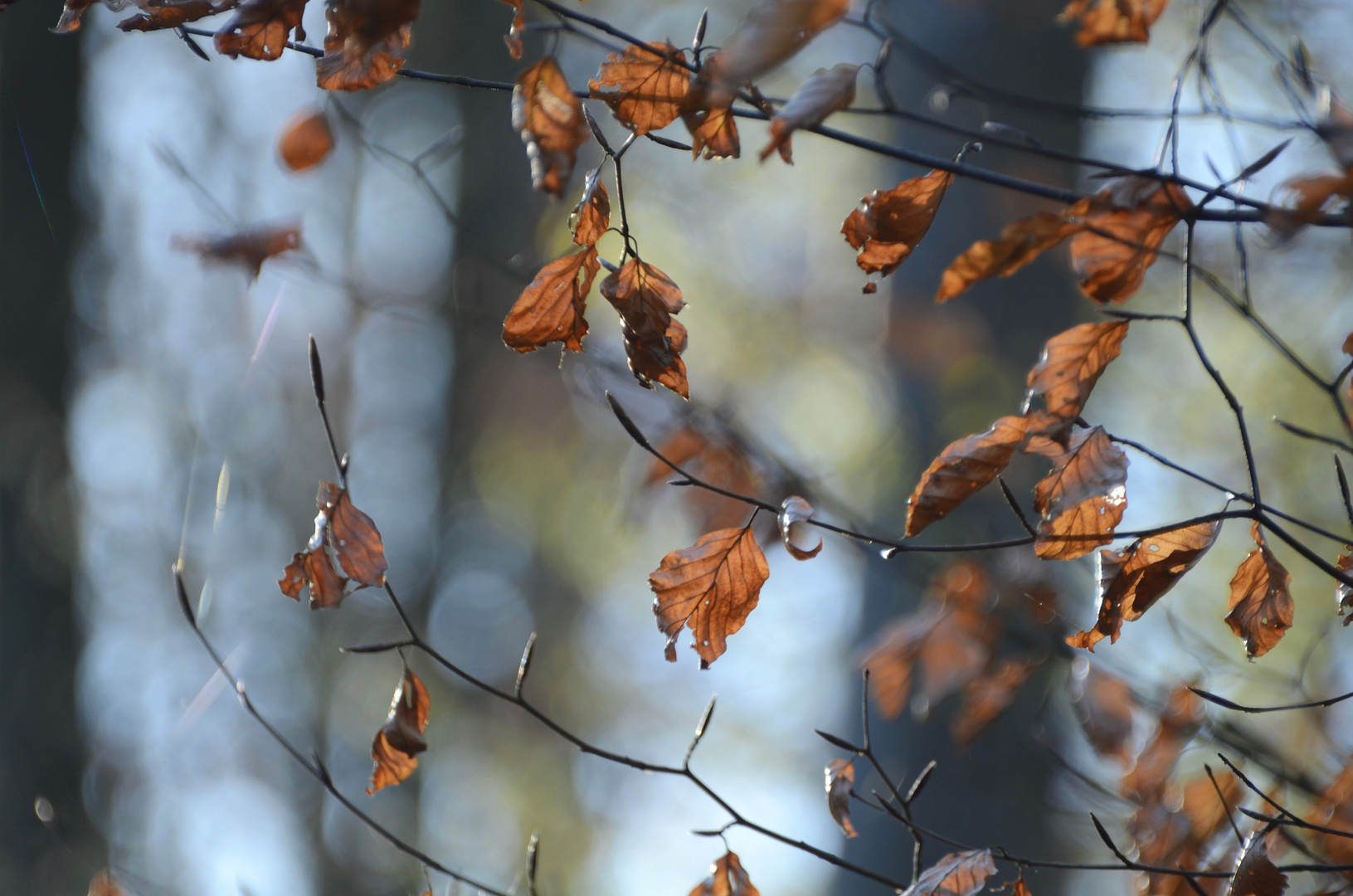 Novemberblick 