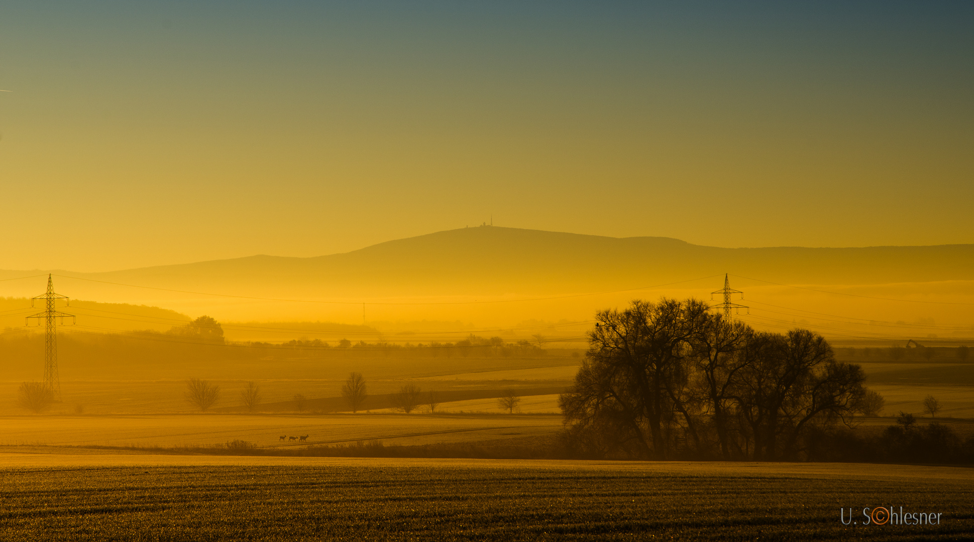 Novemberblick