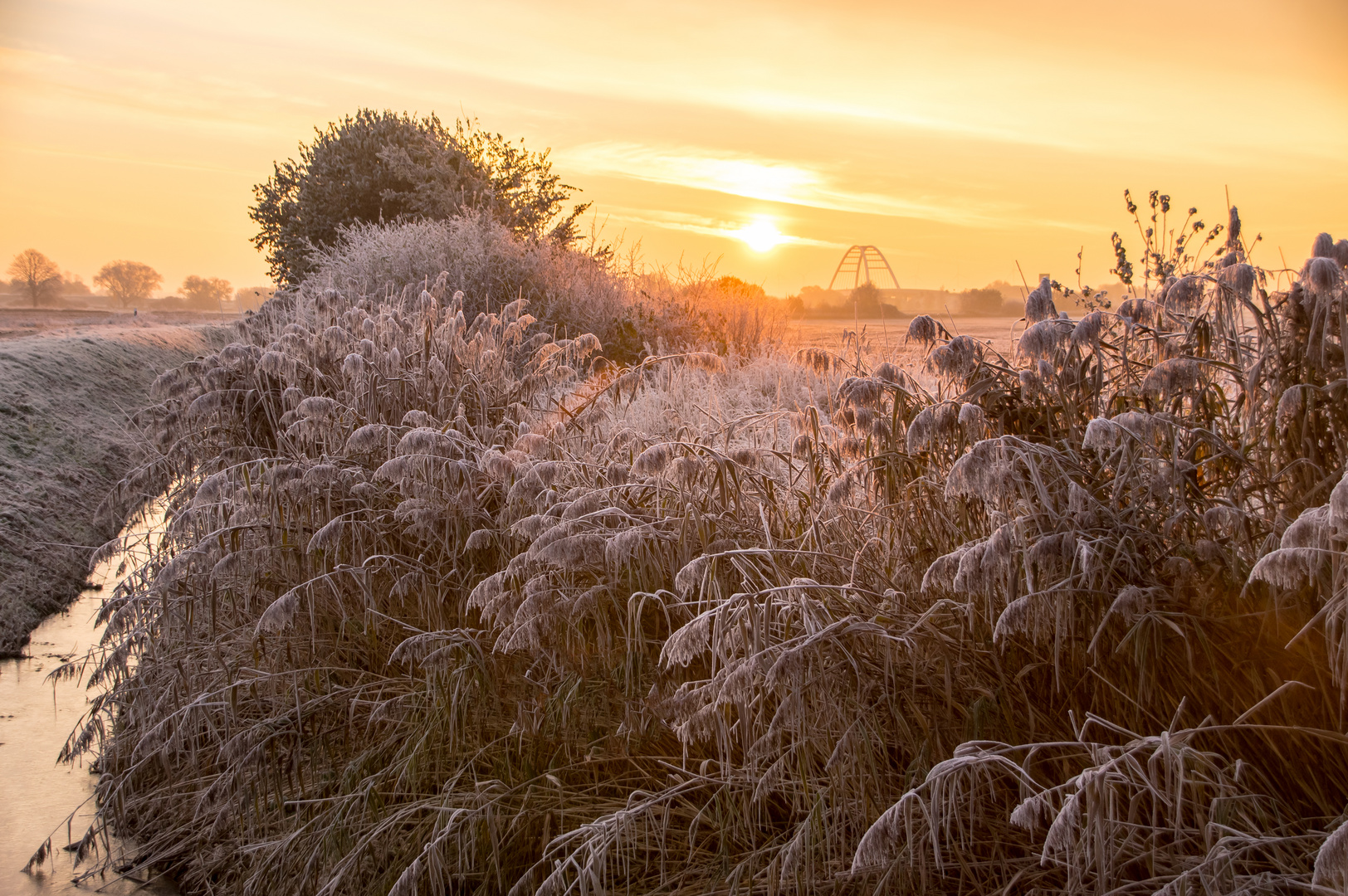 Novemberblicke