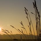 Novemberblicke, Land Brandenburg