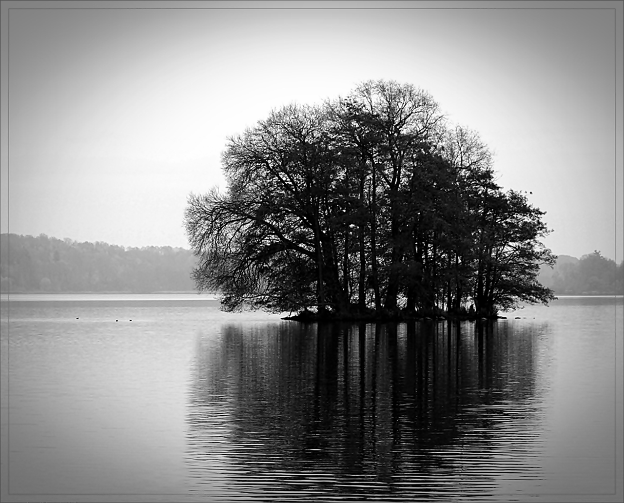 Novemberblues am See...