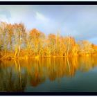 novemberblues (am surfsee laupheim)