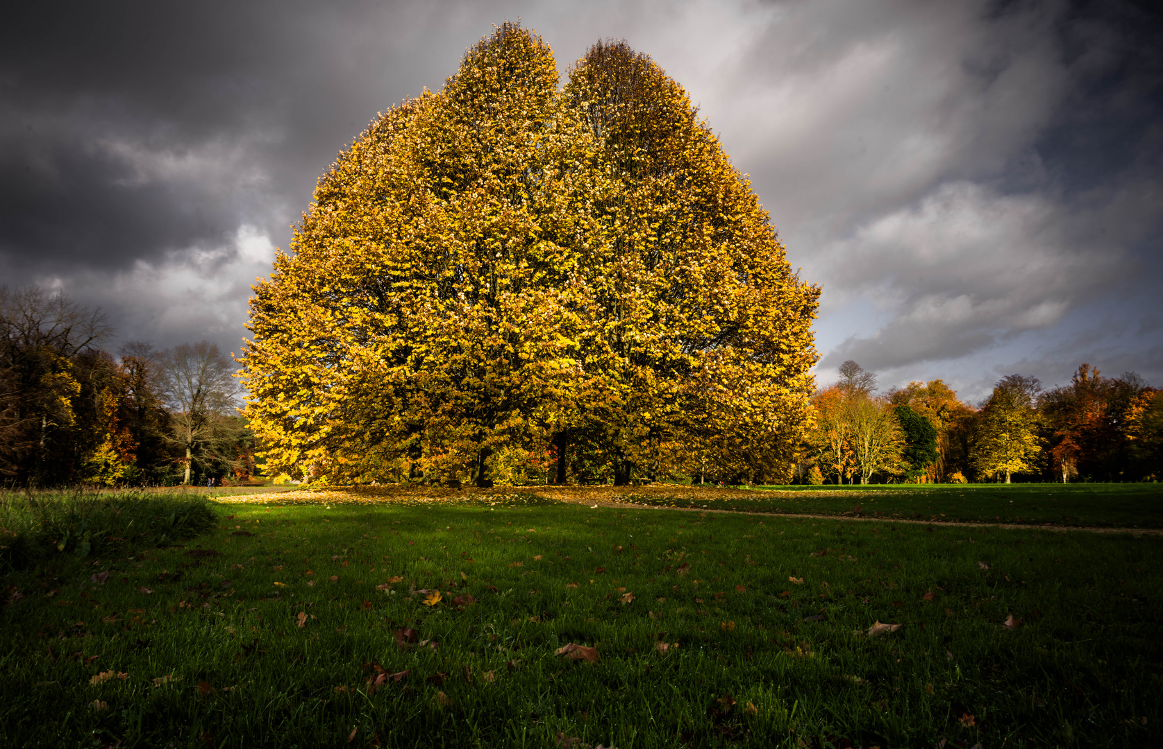 Novemberblueserleuchter