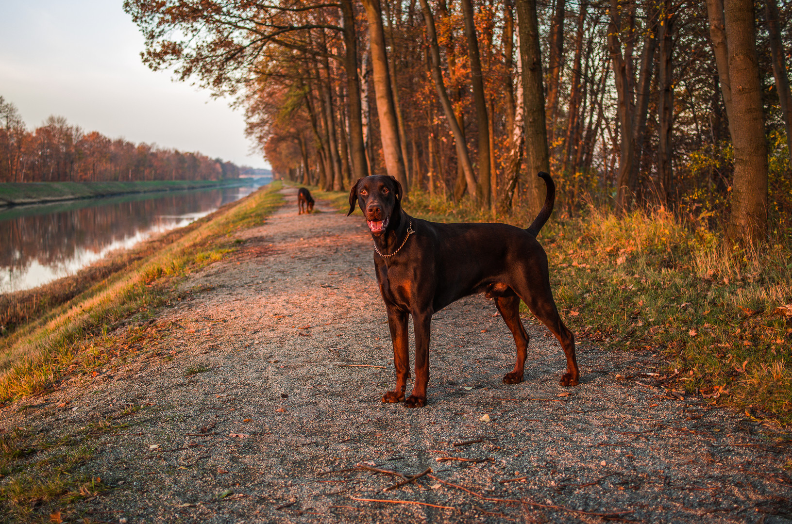 Novemberbrauntöne...