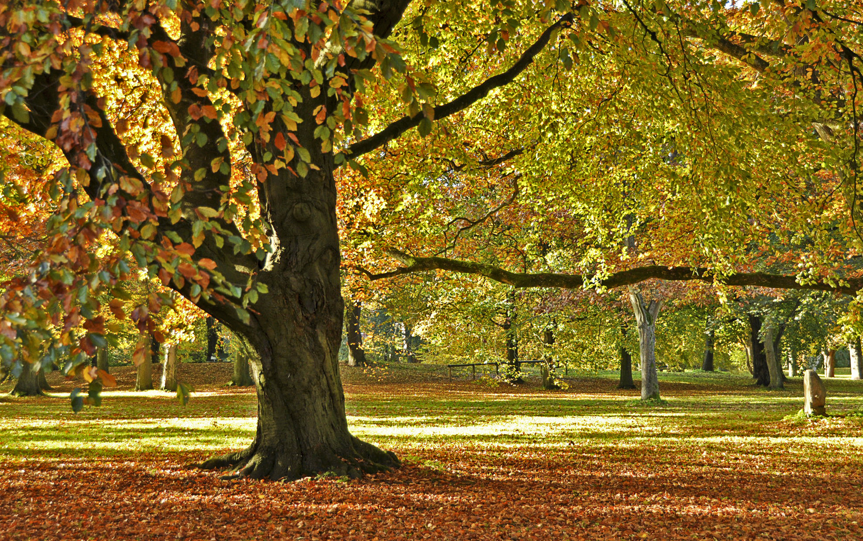 november.farben